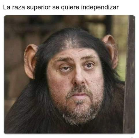Raza superior