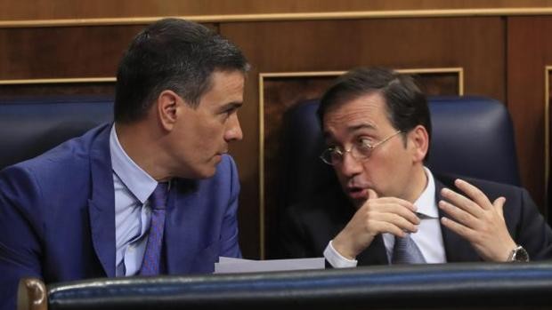 Argelia y dos tontos muy&nbsp;tontos