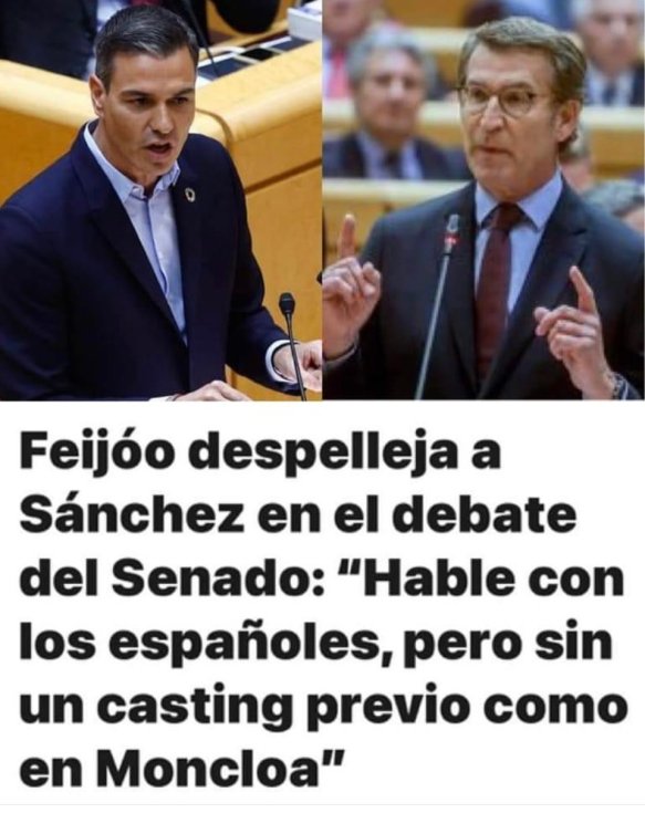Sánchez2