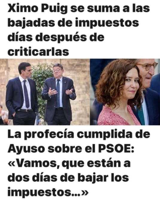 Ayuso2