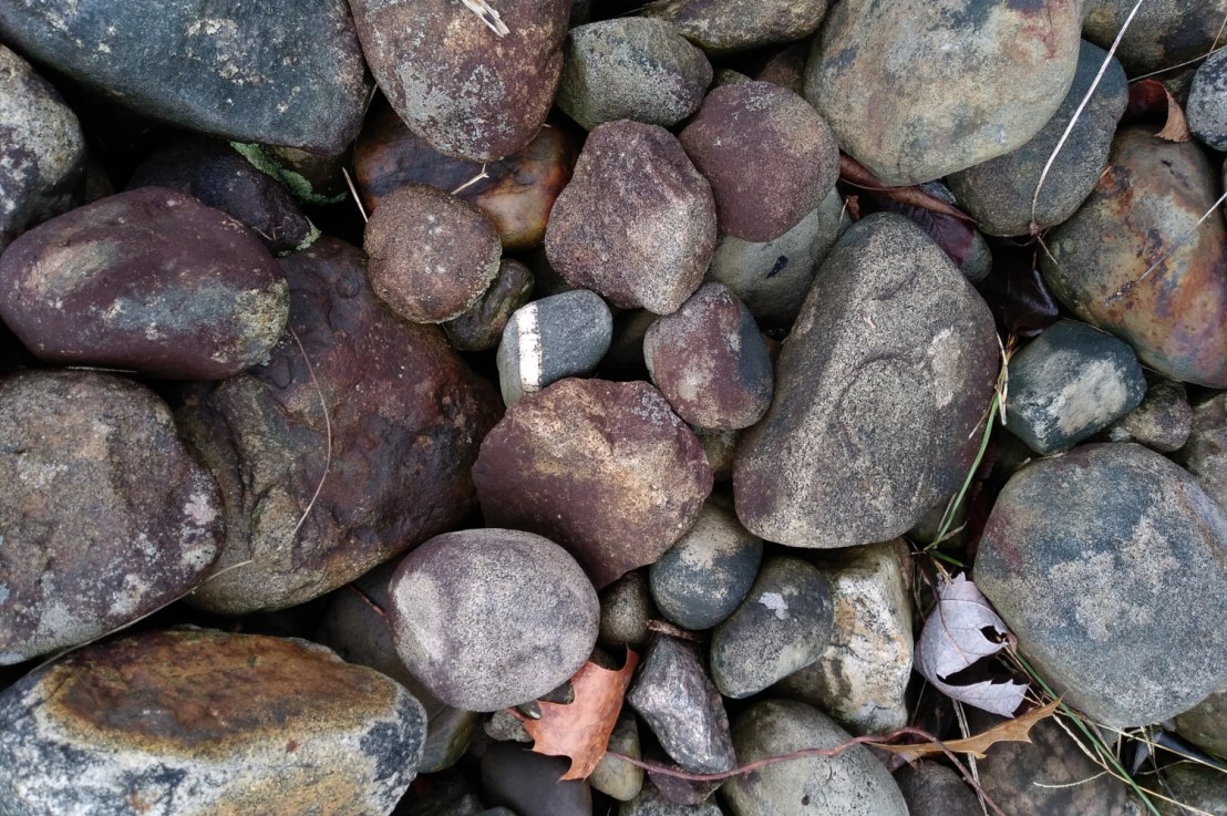 Unusual Music Videos and&nbsp;More