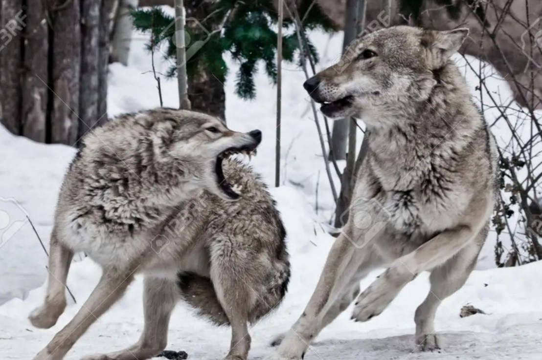 Una pareja tomando&nbsp;café…💕