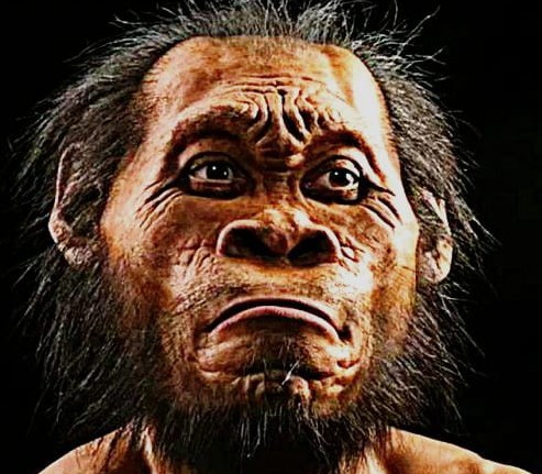 Primeras herramientas