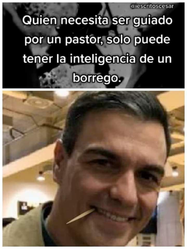 sÁNCHEZ1